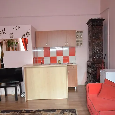Cosy Studio Apartment Cluj-Napoca