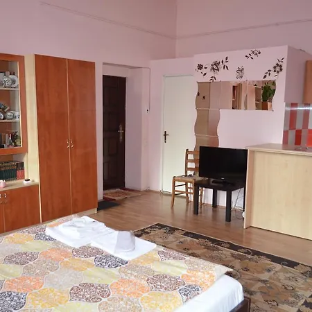 Cosy Studio * Cluj-Napoca